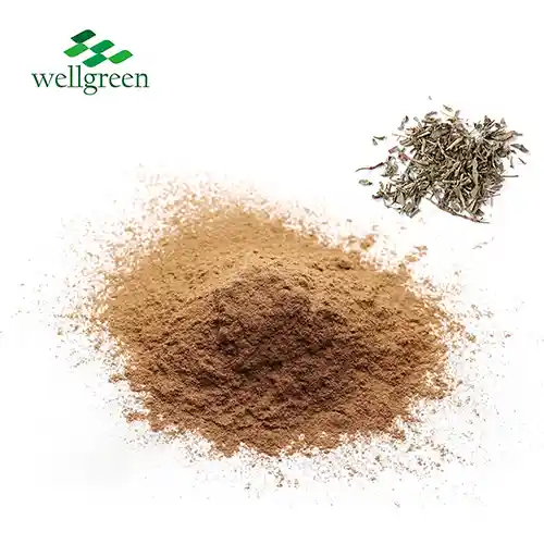 Polygonum Aviculare Extract